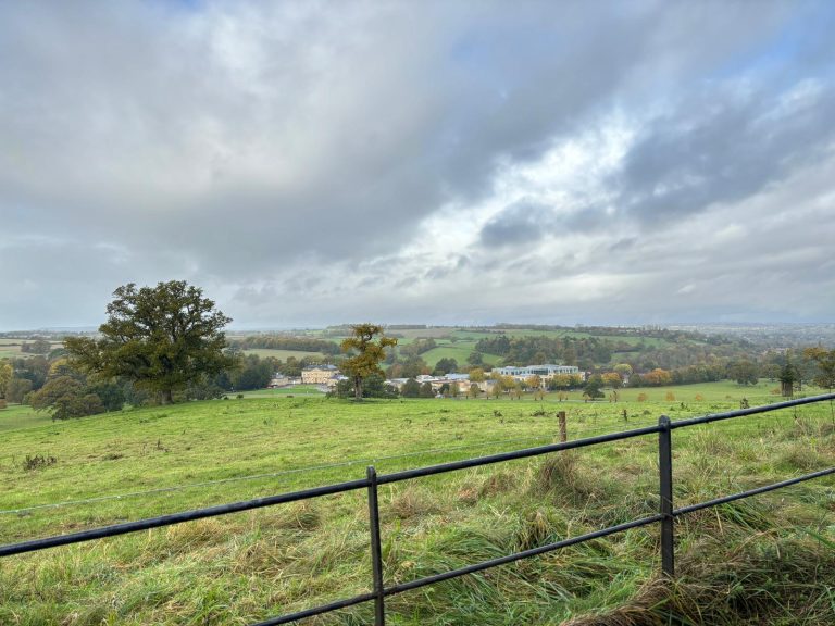 761b1aea a0fe 4bad 8388 43211c4df274 768x576